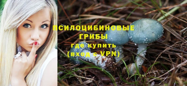 дживик Гусиноозёрск