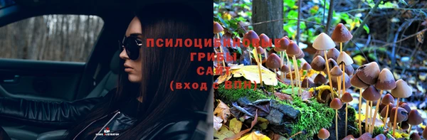 прущая мука Гусь-Хрустальный