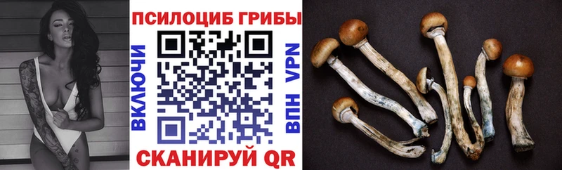 Псилоцибиновые грибы Magic Shrooms Брюховецкая