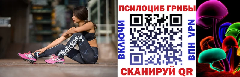 Псилоцибиновые грибы прущие грибы  наркота  Брюховецкая 